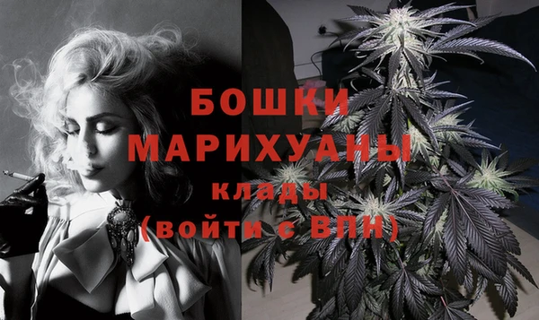 трава Тайга