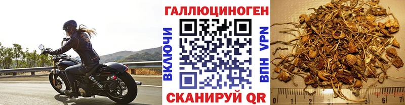 Галлюциногенные грибы ЛСД  Купить где  Болохово 